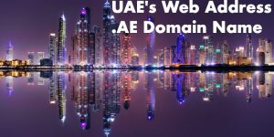 How to Register a .AE Domain Name